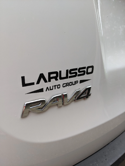 Larusso Auto Group Dealership Decal